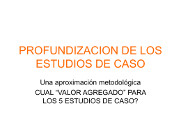 PROFUNDIZACION DE LOS ESTUDIOS DE CASO