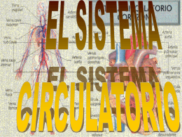 SISTEMA CIRCULATORIO - Multiblog — Blogs en el PNTE