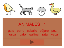 ANIMALES - 9 l e t r a s | Blog de recursos educativos