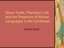Slave Trade, Plantation Life and the Presence of African