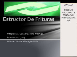 ESTRUCTOR DE FRITURAS
