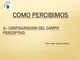 A.- CONFIGURACION DEL CAMPO PERCEPTIVO.