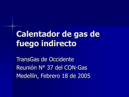 Calentador de gas de fuego indirecto - CNO-Gas