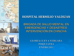 HOSPITAL HERMILIO VALDIZAN BRIGADA DE SALUD …