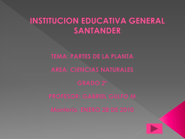 INSTITUCION EDUCATIVA GENERAL SANTANDER