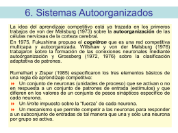 6. Sistemas Autoorganizados