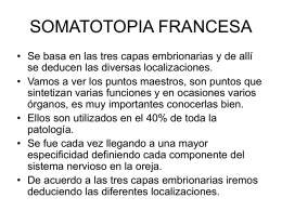 SOMATOTOPIA FRANCESA