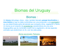 Biomas del Uruguay - Liceoweblog's Weblog