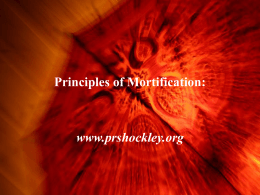 Spiritual Principles of Mortification: