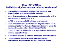 ELECTROFORESIS EN GEL DE POLIACRILAMIDA