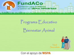 www.fundaco.org