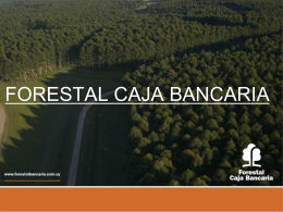 Proyecto offsets FORESTAL CAJA BANCARIA