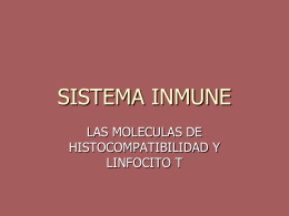 SISTEMA INMUNE - Bioquimica113's Blog | Just another