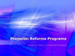 Proyecto: Reforma Programa