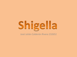 Shigella - FCQ-InocuidadeAlimentos