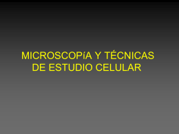- MICROSCOPIA Y TECNICAS DE ESTUDIO CELULAR