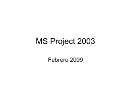 MS Project 2003