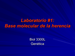 Lab. #1: Base Molecular de la Herencia