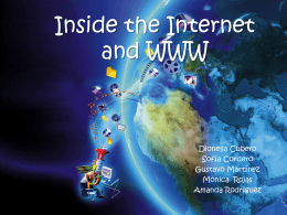 Inside the Internet and WWW - tisgpal1-3