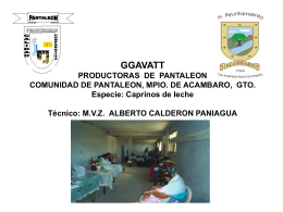 GGAVATT PRODUCTORAS DE PANTALEON COMUNIDAD …