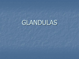 GLANDULAS - quibios