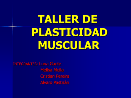 Plasticidad muscular. - Complejo Articular del Hombro