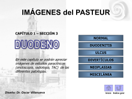DUODENO - Hospital Pasteur