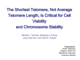 The Shortest Telomere, Not Average Telomere Length, Is