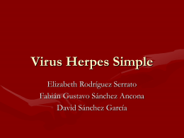 Virus Herpes Simple