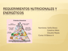 Requerimientos nutricionales y energeticos