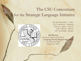 The Southern CSU Consortium Center for Strategic …