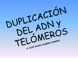 Diapositiva 1 - Listado de Alojamientos en www.aloj.us.es