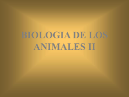BIOLOGIA DE LOS ANIMALES II