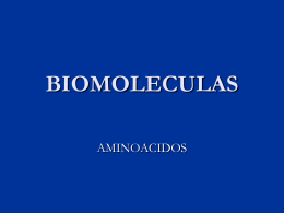 BIOMOLECULAS - Bioquimica113's Blog | Just another