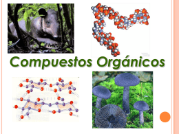 Compuestos Organicos - fundamentosdebiologia