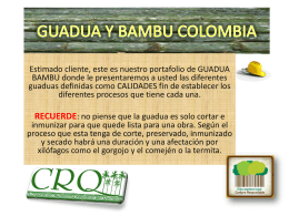 PORTAFOLIO GUADUA - GUADUA BAMBU COLOMBIA