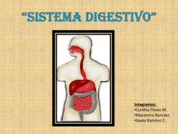 Sistema Digestivo”