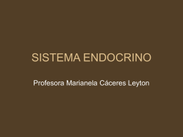 SISTEMA ENDOCRINO - Profemarianelacaceres's Weblog