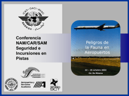 ICAO NAM/CAR/SAM Runway Safety/Incursion Conference