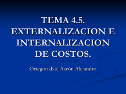 TEMA 4.5. EXTERNALIZACION E INTERNALIZACION DE …