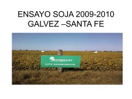 ENSAYO SOJA 2009-2010 GALVEZ –SANTA FE