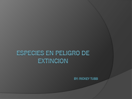 Especies en peligro de extincion By: Rickey Tubb