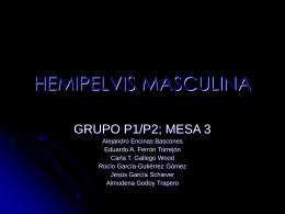 HEMIPELVIS MASCULINA - UCM-Universidad Complutense …