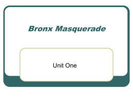 Bronx Masquerade