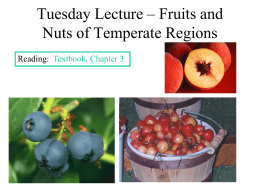 Tuesday Lecture – Fruits and Nuts of Temperate Regions