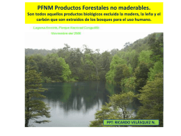 PFNM Productos Forestales no maderables del Bosque …