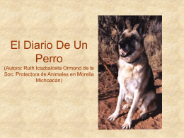 El Diario De Un Perro