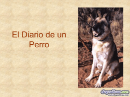 Diario de un Perro - PowerPoints de Humor, graciosos