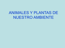 ANIMALES Y PLANTAS DE NUESTRO AMBIENTE