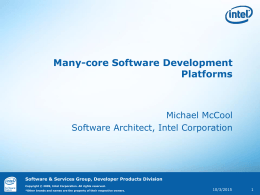 Many-core Software Development Platforms